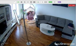 Reallifecam Review