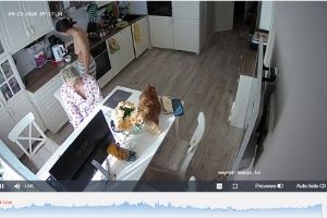 VoyeurHouseTv Cams