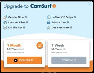 Camsurf pricing